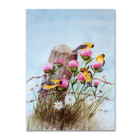 Trademark Fine Art Arie Reinhardt Taylor 'American Goldfinch' Canvas Art, 14x19 ALI15536-C1419GG